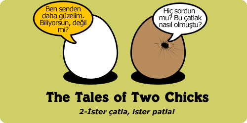 2chicks2istercatla