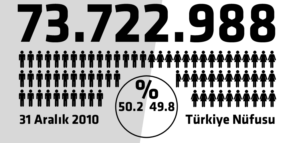 2010 Türkiye Nüfus oranları