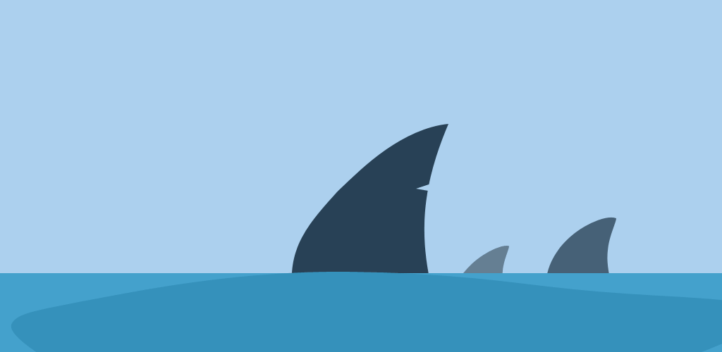 köpekbalığı yüzgeçleri
