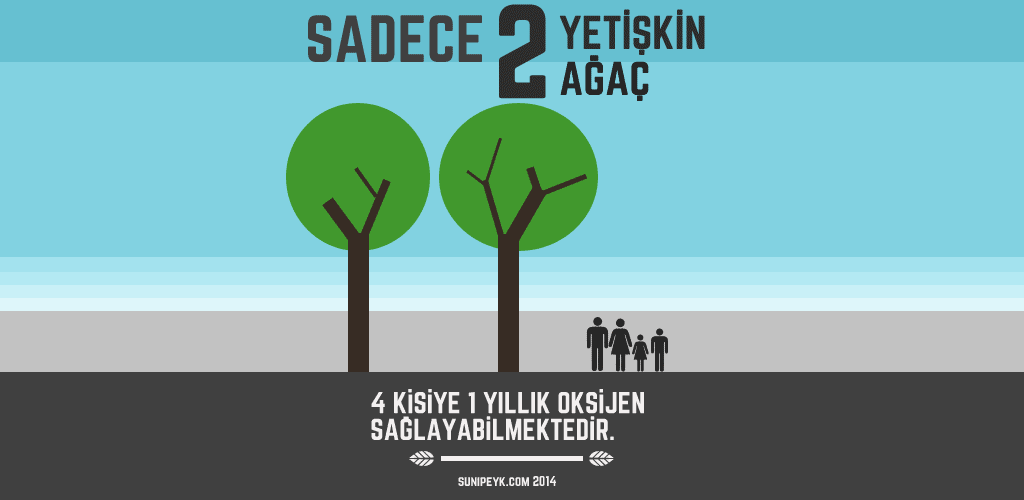 İki ağaç 4 kişiye bir yıllık oksijen verir