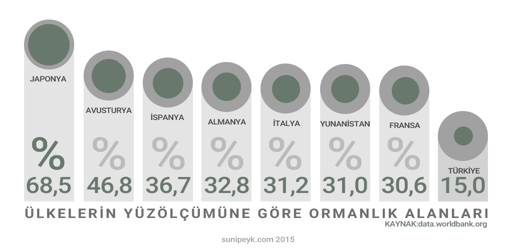 orman alanları infografik