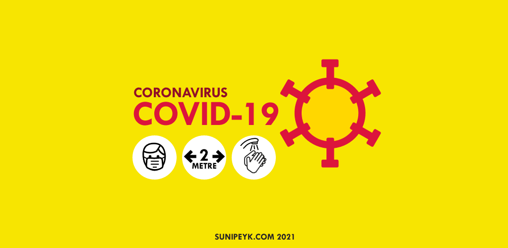 Covid-19, Corona Pandemesinin Birinci Yılı