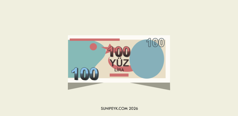 stilize 100 lirası ikonu