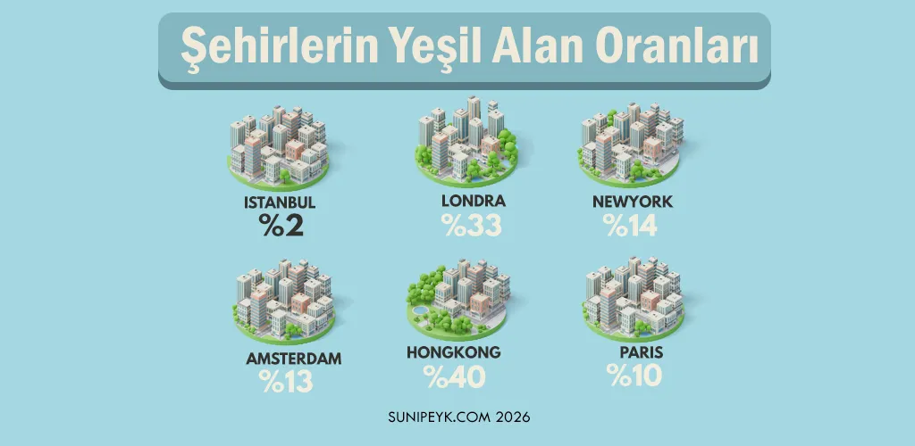 Şehirlerin Yeşil Alan Oranları: Son Durum