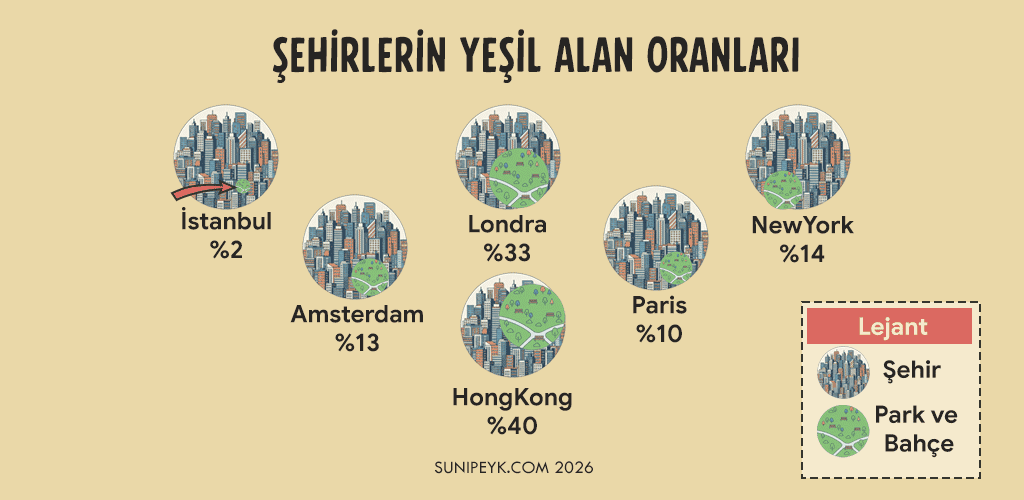 Şehirlerin Yeşil Alan Oranları: Son Durum